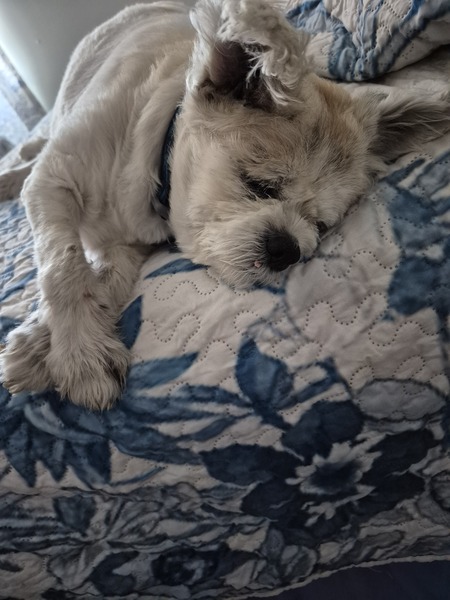 Entry image for Rain'. Clicking this image will show a larger photo