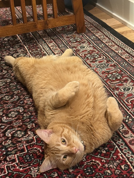 Entry image for Senby . Clicking this image will show a larger photo