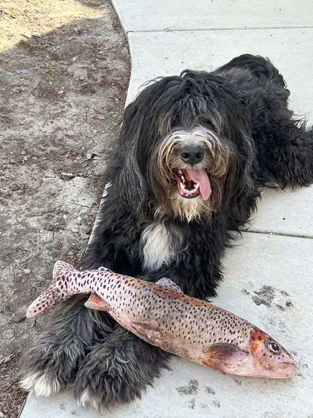 Entry image for Edgar. Clicking this image will show a larger photo