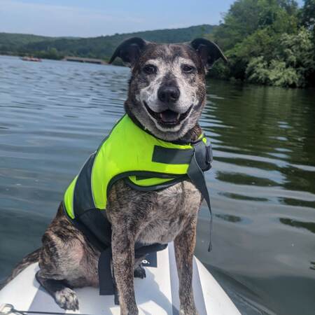 Entry image for Reese. Clicking this image will show a larger photo