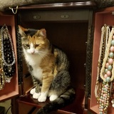 Entry image for Bella