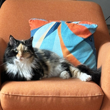 Entry image for Lily