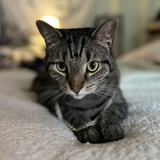 Entry image for Ernie