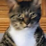 Entry image for Tucker