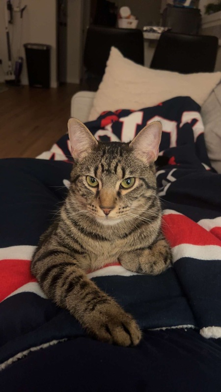 Entry image for Ernie . Clicking this image will show a larger photo