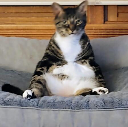 Entry image for Tucker. Clicking this image will show a larger photo