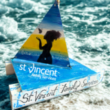 Entry image for St. Vincent Family Services