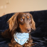 Entry image for Milo
