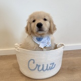 Entry image for Cruz