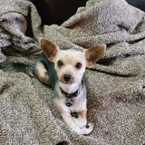 Entry image for Chloe 