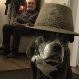 Entry image for He stole my hat… and somehow wore it better