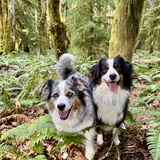 Entry image for Karma & Kodak