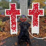 Entry image for Finn