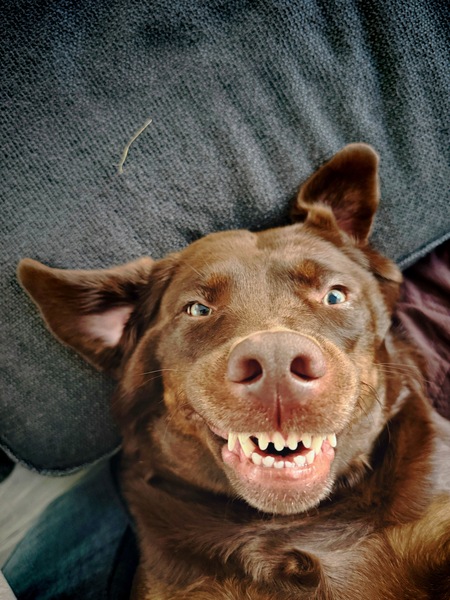 Entry image for Oona. Clicking this image will show a larger photo