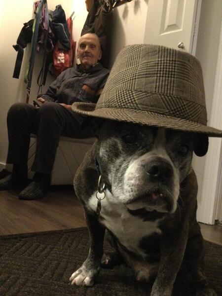 Entry image for He stole my hat… and somehow wore it better. Clicking this image will show a larger photo