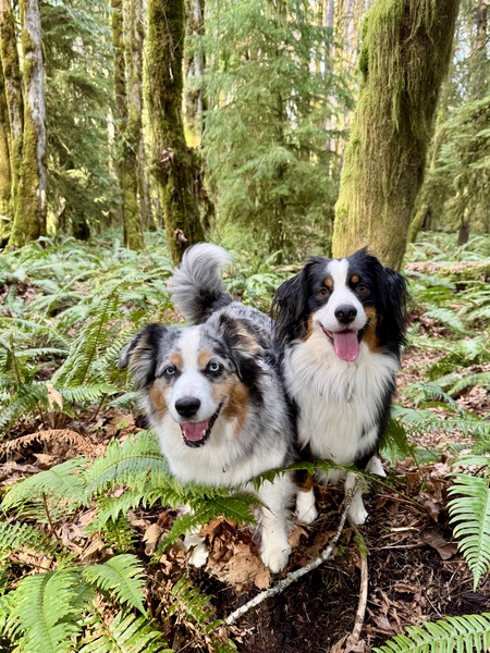 Entry image for Karma & Kodak. Clicking this image will show a larger photo