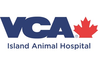 VCA Island Animal Hospital