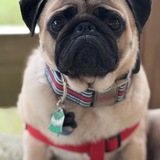 Entry image for Kevin