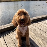 Entry image for Mabel