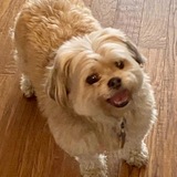 Entry image for Fancy