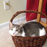 Entry image for Duncan