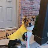 Entry image for Peaches