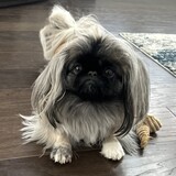Entry image for Coco
