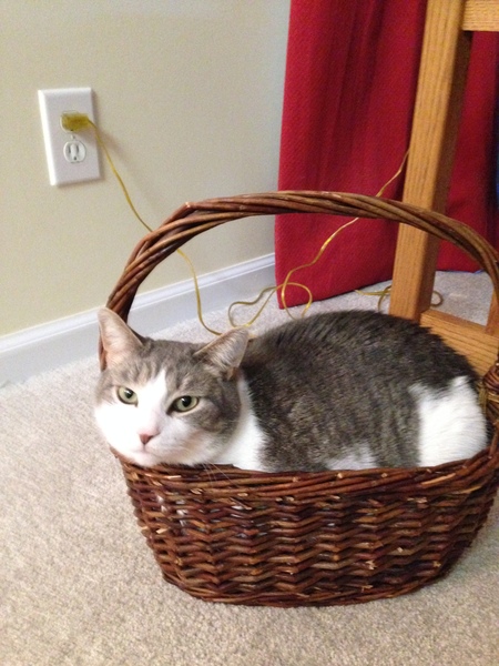 Entry image for Duncan. Clicking this image will show a larger photo