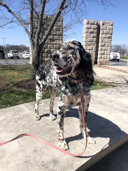 Entry image for Renly. Clicking this image will show a larger photo