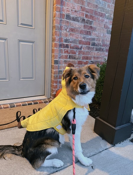 Entry image for Peaches. Clicking this image will show a larger photo
