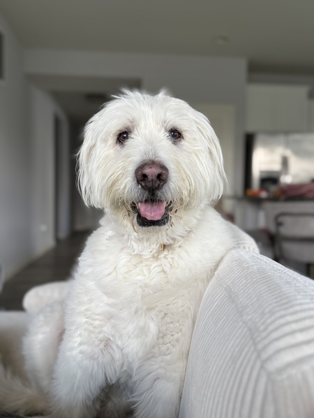 Entry image for Precious. Clicking this image will show a larger photo