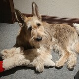 Entry image for Tucker