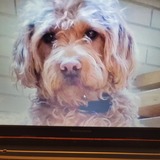 Entry image for Lulu