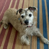 Entry image for Jake