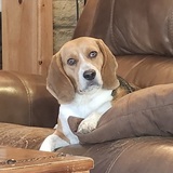 Entry image for Billy