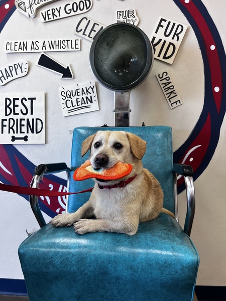 Entry image for Chubbs . Clicking this image will show a larger photo