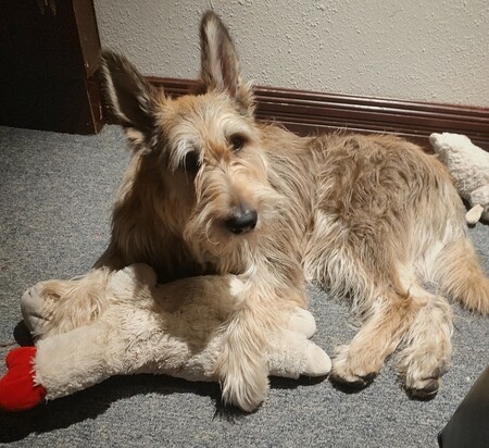 Entry image for Tucker. Clicking this image will show a larger photo