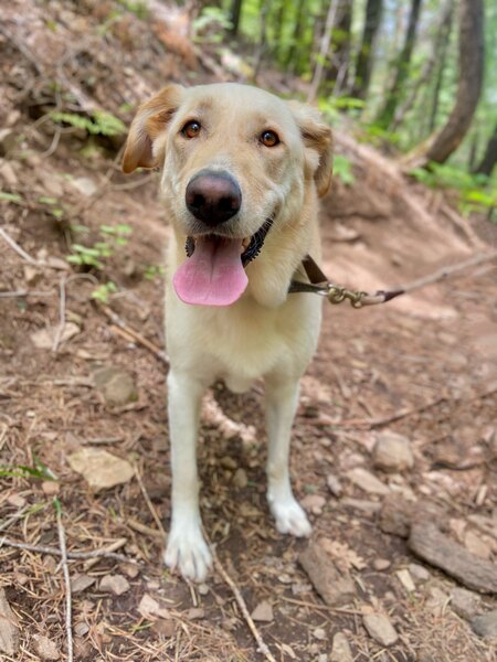 Entry image for Missy. Clicking this image will show a larger photo