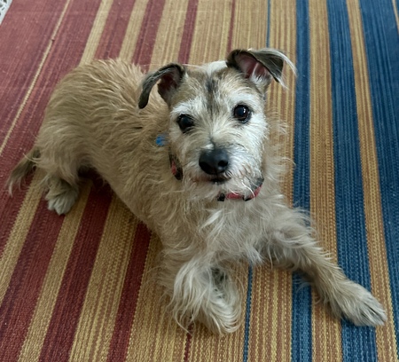 Entry image for Jake. Clicking this image will show a larger photo