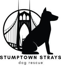 Logo for Stumptown Strays 2027 Calendar Contest