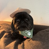 Entry image for Nucky
