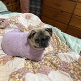 Entry image for Gertie
