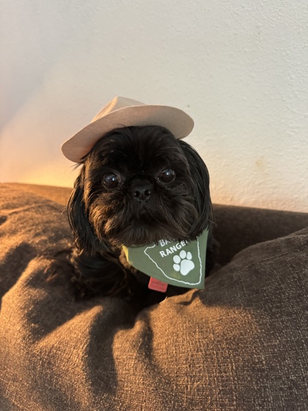 Entry image for Nucky. Clicking this image will show a larger photo