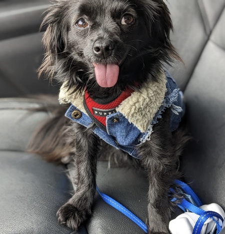 Entry image for Cadie. Clicking this image will show a larger photo