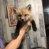 Entry image for Swiper 