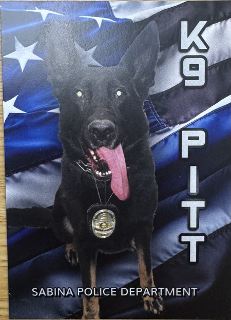 Entry image for K9 Pitt. Clicking this image will show a larger photo