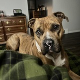 Entry image for Luke