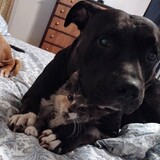 Entry image for Rosalee 