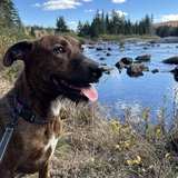 Entry image for Jameson 