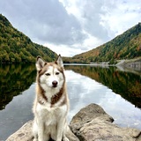 Entry image for Nova